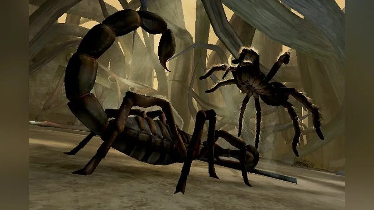Скорпион против паука. Spiderheck freetp. Дуэль пауков. Дуэль пауков. Дуэль пауков.