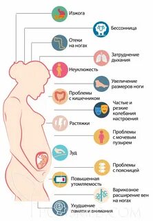 Беременность в 30 лет вторые