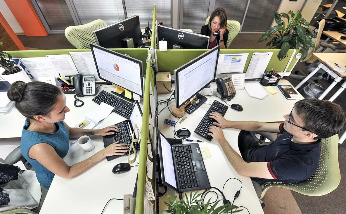 Компания в которой я работаю