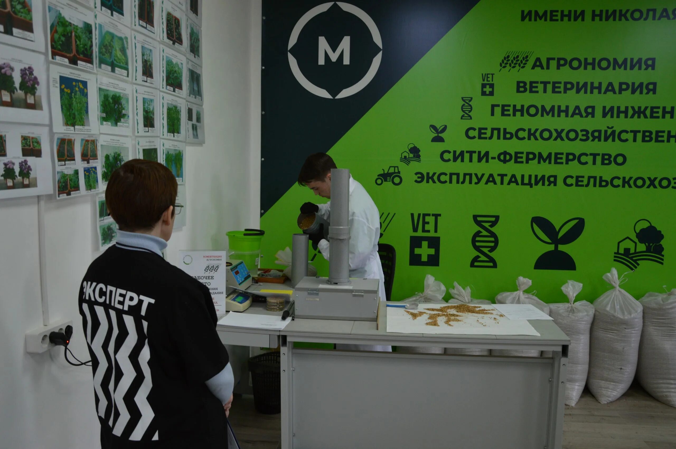 Аксеновский колледж раевка. Сибирцева. Арский агропромышленный профессиональный колледж урняк. Агропромышленный профессиональный колледж. Аксеновский агропромышленный колледж ветеринария.