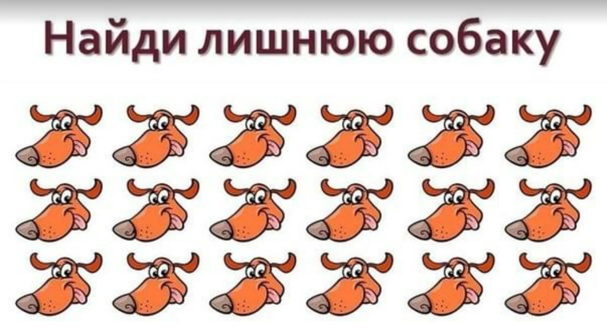 Найти лишнюю собаку ответ. Найди лишнюю собаку. найди лишнюю собаку ответ. головоломка найди лишнее. загадки найди лишнее.