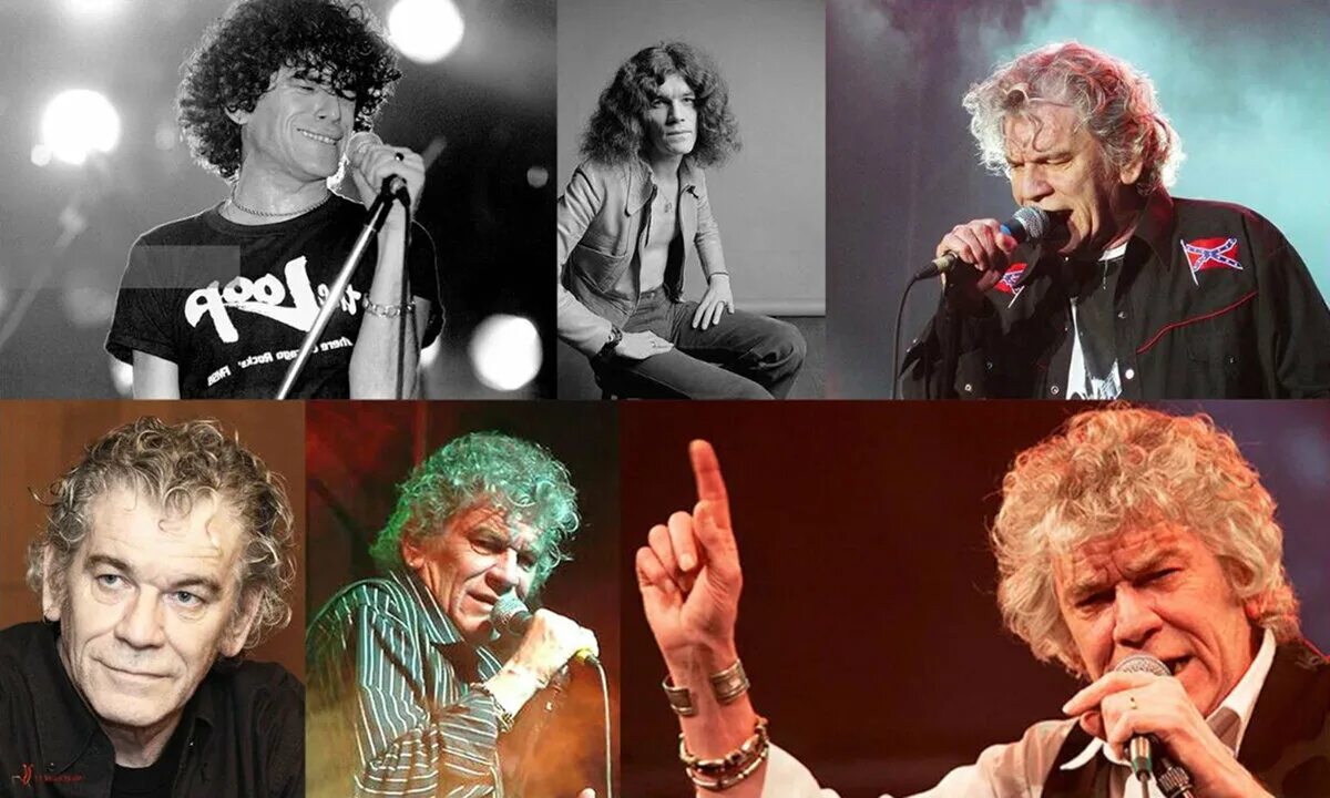 In memory of dan mccafferty