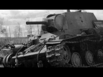6 бегемот