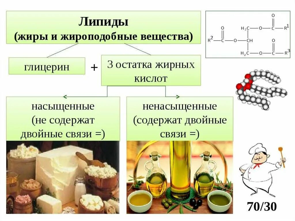 Примеры растительных жиров. Жиры классификация фосфолипиды. Липиды жирные кислоты. Липиды функции жиров и масел. Липиды это.