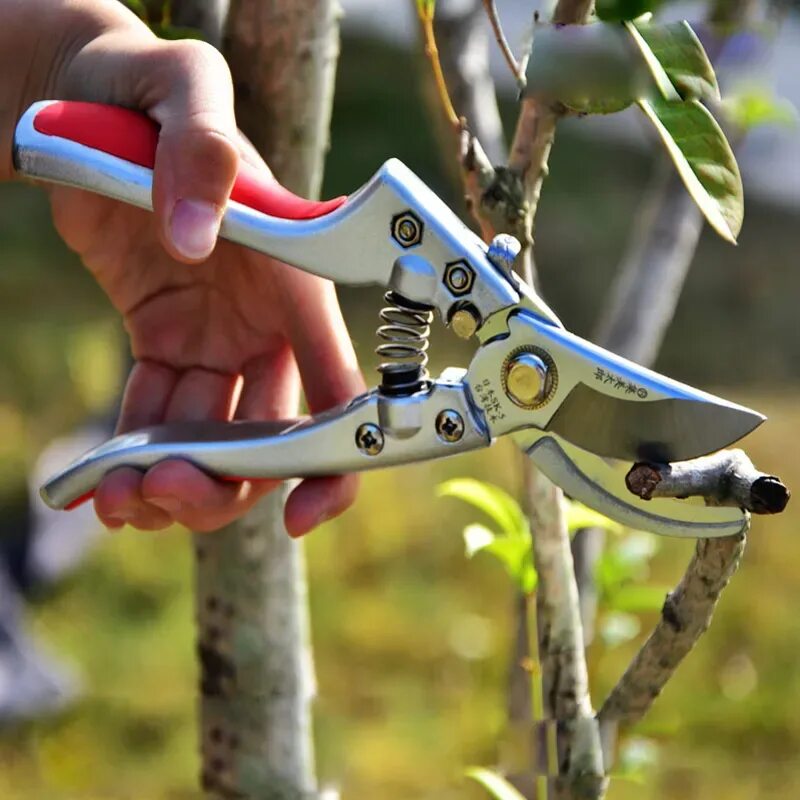 Обрезка деревьев инструмент. Секатор садовый pruning shears. творница секаторы. секатор garden tools. ножницы садовые для деревьев.
