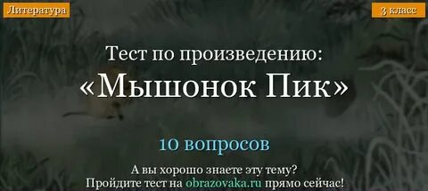 Мышонок пик тест с ответами 3