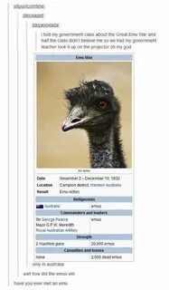 This is an emu
