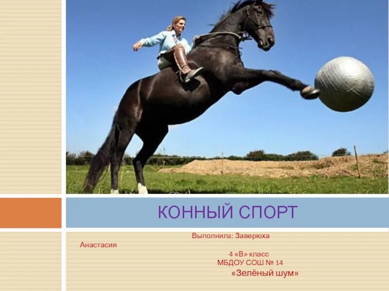 Жестокая реальность конного спорта - презентация, доклад, проект скачать