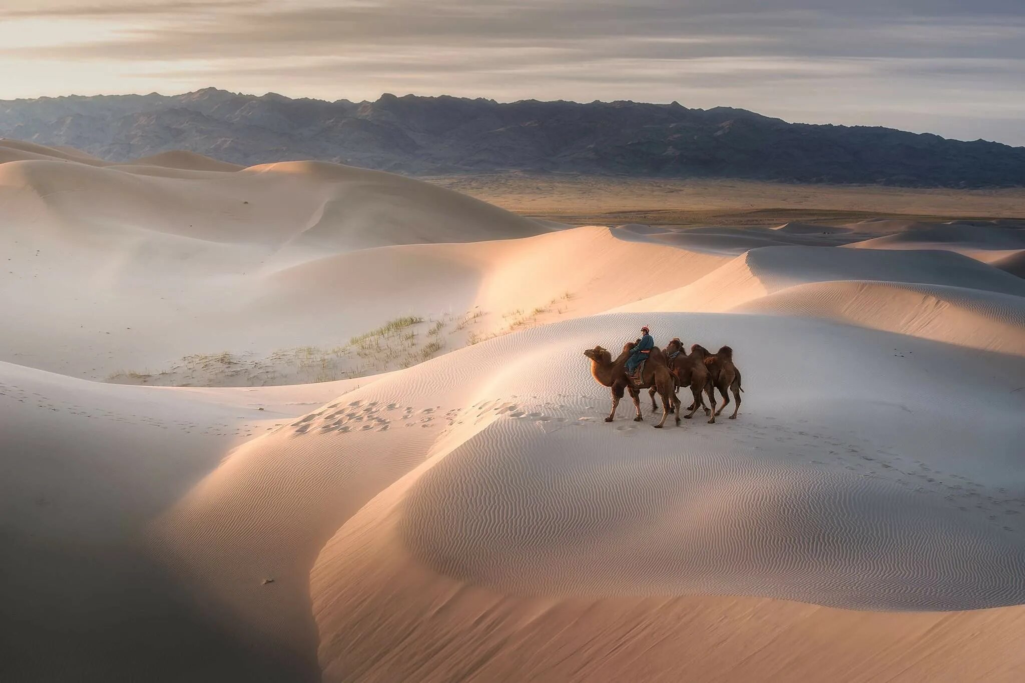 Гоби это пустыня. Пустыня Гоби Монголия. Природа Монголии - пустыня Гоби. Монголия достопримечательности пустыня Гоби. Монголия пустыня Гоби зимой.