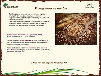 Самый популярный вид крупы полба