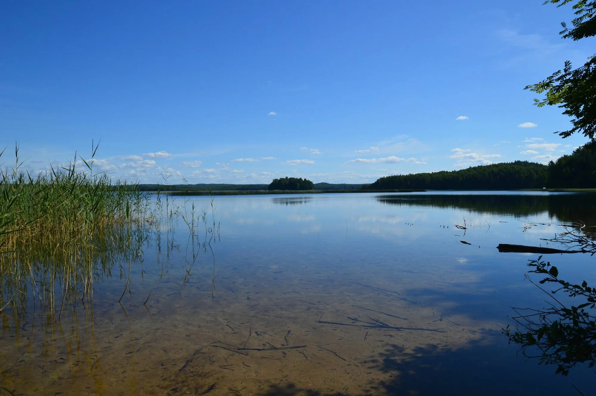 Земли водного фонда Пензенской области. Земли водного фонда. Водный фонд. Земли под водными объектами. Водный фонд рф