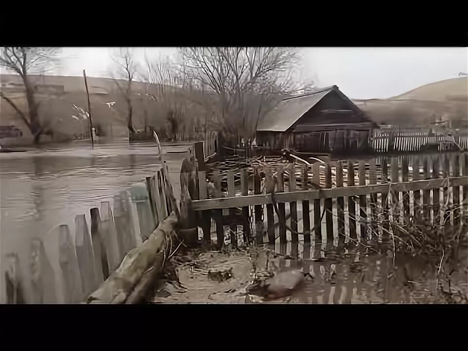 Погода в соловьихе. Петропавловское алтайский край. Село петропавловское алтайский край. Деревня соловьиха алтайский край. Деревня соловьиха алтайский край.