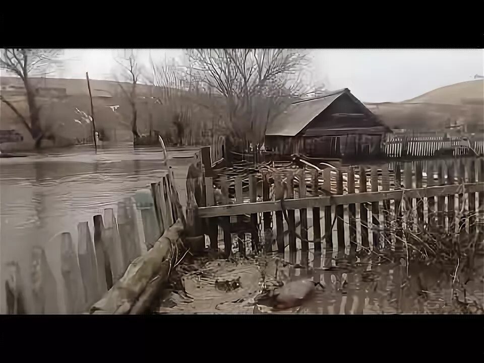 Погода в соловьихе алтайский край. Деревня Соловьиха Алтайский край. Соловьиха Алтайский край Петропавловский район. Село Соловьиха Петропавловского района. Алтайский край, Петропавловский р-н, с. Соловьиха.