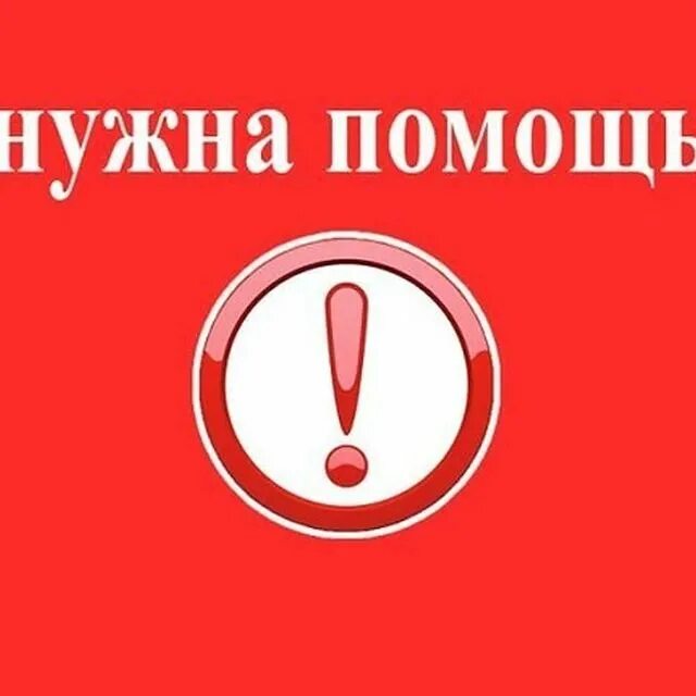 автор елена дунаева. срочно автоволонтер. просим помощи для животных. сбор на лечение ребенку. нужна помощь машиной.