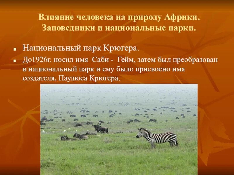 Изменение природы материка под влиянием деятельности человека