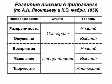 Стадии и уровни