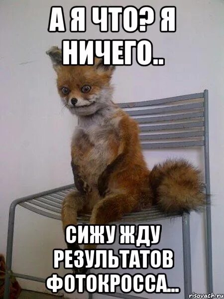 Как ваше нечего. Как ваше нечего