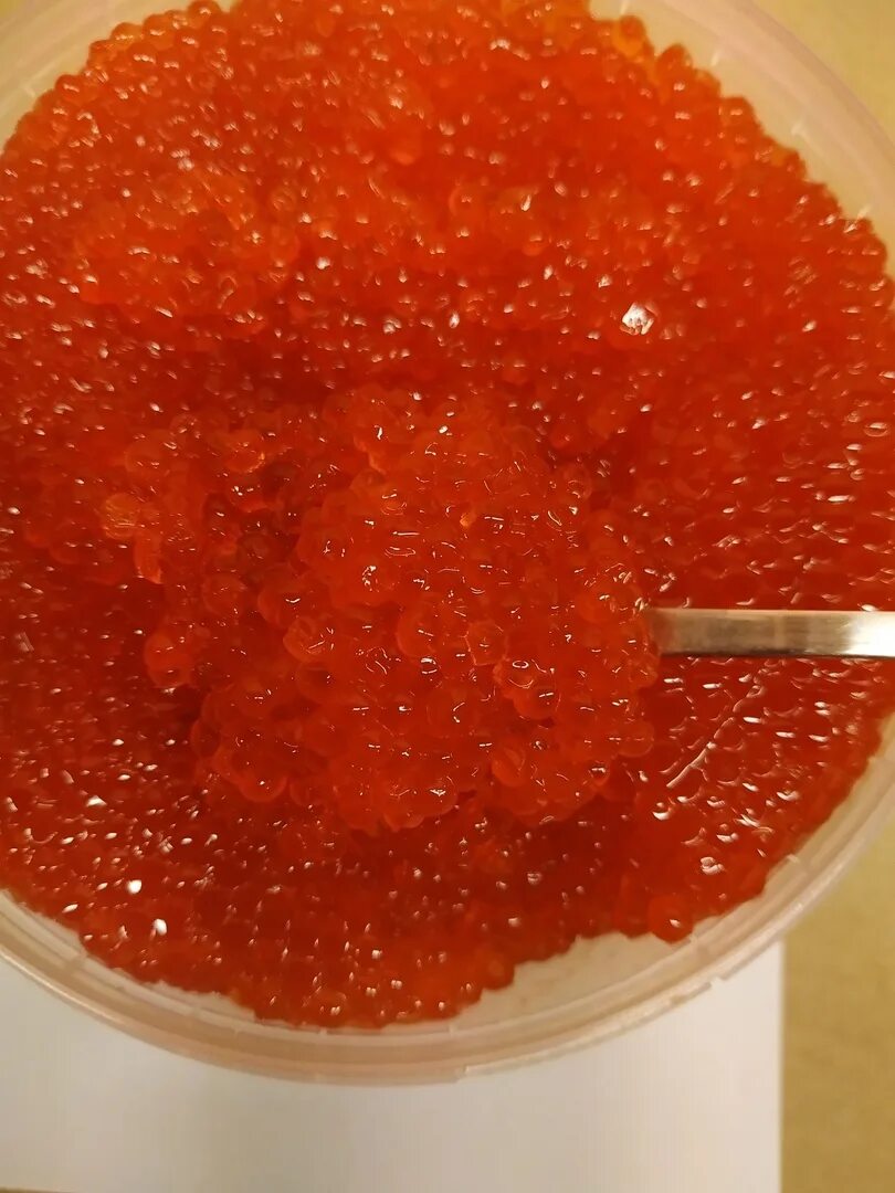 Икра форели светофор. Форелевая икра Карелия. Икра форели Caviar. Икра форели свежая. Икра форели армянская.