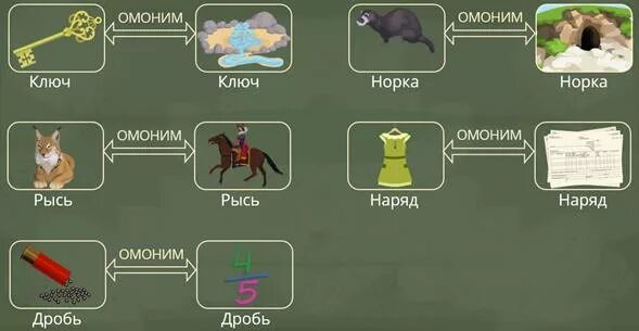 Найдите среди пар омонимы рысь проголодалась. Омонимы. омонимы примеры 2 класс. омонимы названия животных. омонимы 2 класс.