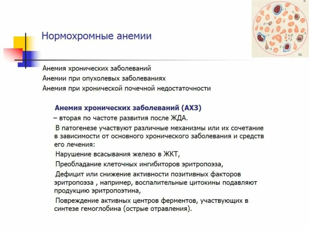 Нормохромная гипохромная гиперхромная анемия. Анемия хронических заболеваний нормохромная нормоцитарная. Нормоцитарная анемия патогенез. Нормоцитарной нормохромной анемии. Нормохромная анемия это.