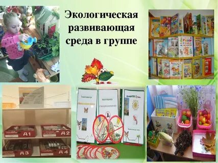 Экологическая среда компоненты среды