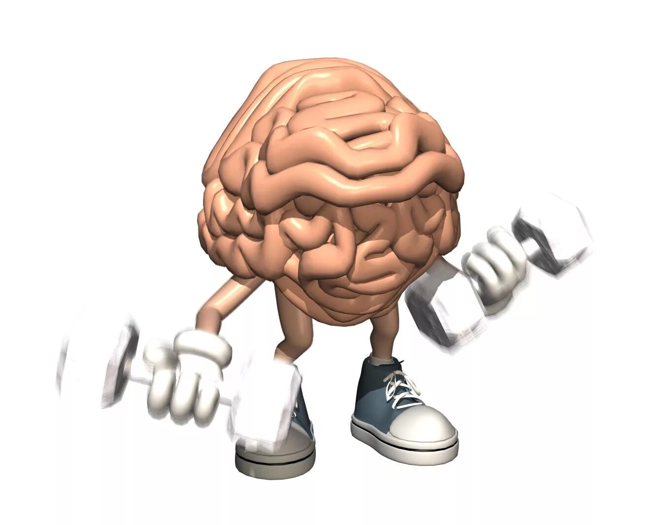 Мозг с мускулами. Сильный мозг. Тренировка мозга.