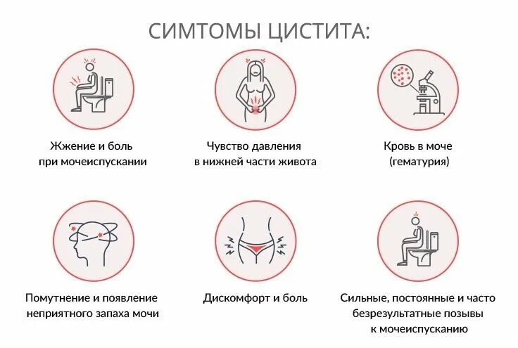 Симптомы при цистите. Цистит симптомы и профилактика. Симптомы цистицистита. Можно греть мочевой