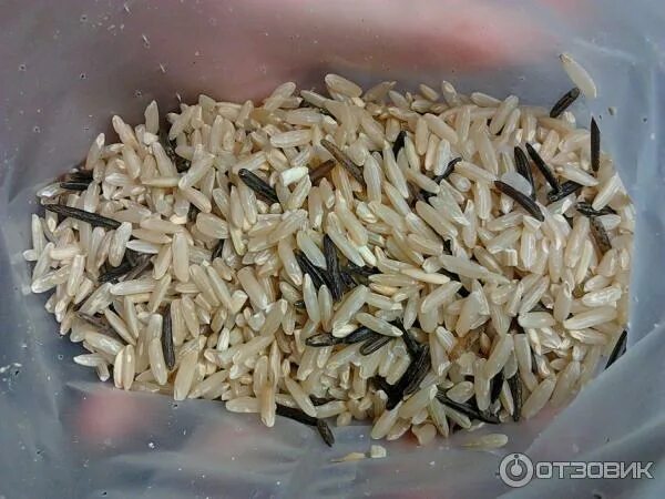 Дикий рис вареный. Дикий рис с курицей. Бурый и дикий рис рецепты. Как приготовить бурый дикий рис. Рис дикий черный bravolli.