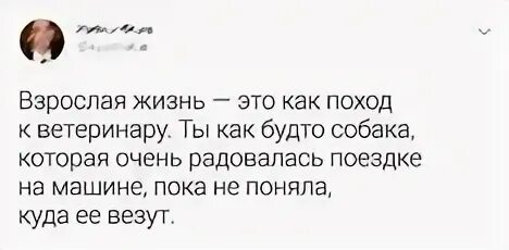 Взрослая жизнь характеристика