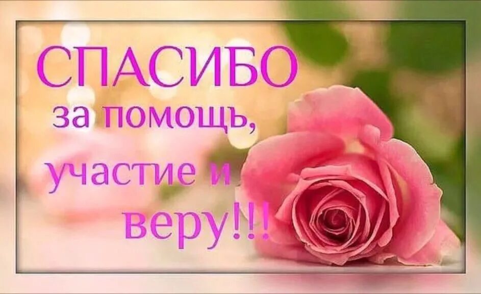 Спасибо за помощь и поддержку картинки. Спасибо за помощь. спасибо за поддержку. благодарим за помощь. открытки благодарю за поддержку.