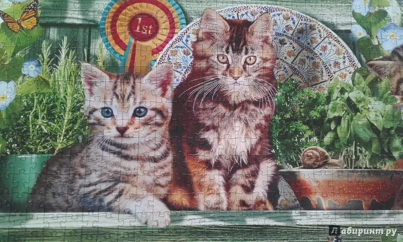 Пазлы котята собранные. Step Puzzle котята 1500. Пазлы котики 1500. Пазлы кошки в маках. Пазл котята 2004 год.