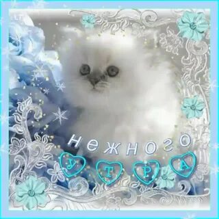 Открытки любые