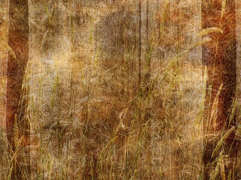 ткань из крапивы рами. фон холст. старая фактура. старинная ткань. фактура старого холста.