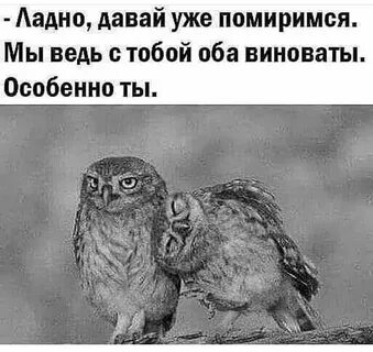 Мы примим