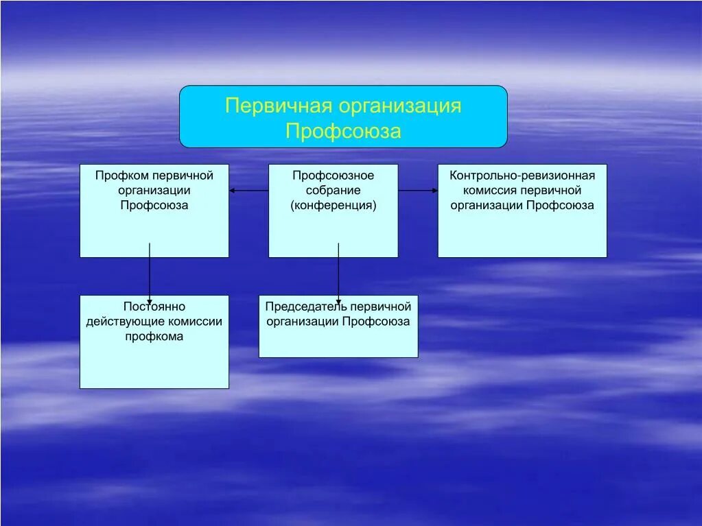 Структура первичной профсоюзной организации. Структура профсоюзной организации предприятия. Структура профкома в первичной организации. Комиссии профсоюзного комитета первичной профсоюзной организации. Состав первичной организации