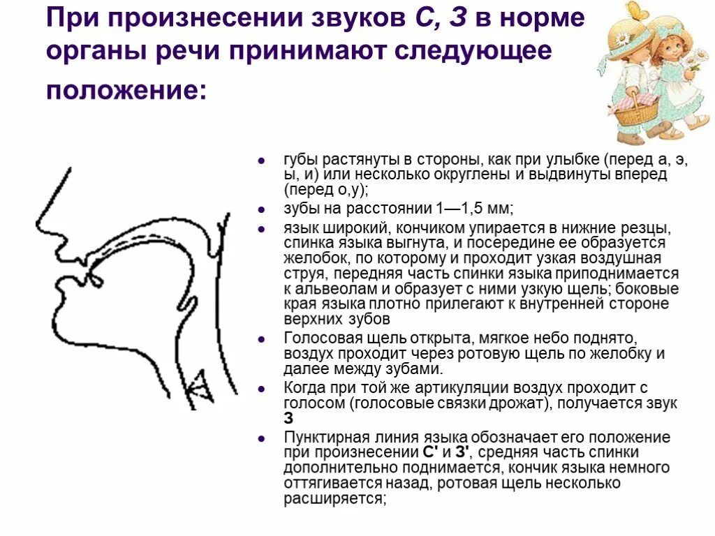 Описание артикуляции. Положение органов артикуляции при произнесении звука с. Звук с профиль звука. Правильная артикуляция звука сь. Положение языка при звуке с.