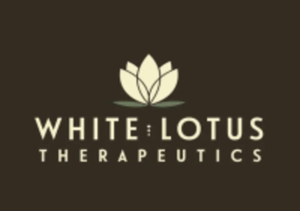 Лотос логотип. Белый лотос псков. Ролл лотос. Лотус логотип. Белый лотос сайт.