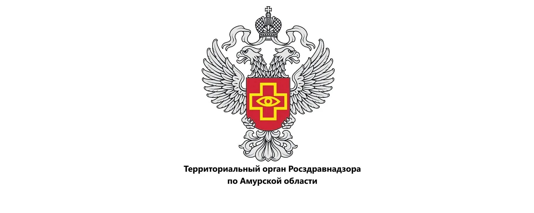 Росздравнадзор. Территориальный отдел росздравнадзора. Федеральная служба по надзору в сфере здравоохранения. Территориальные органы росздравнадзора. Федеральная служба в сфере здравоохранения.