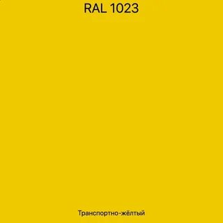 Ral 1023
