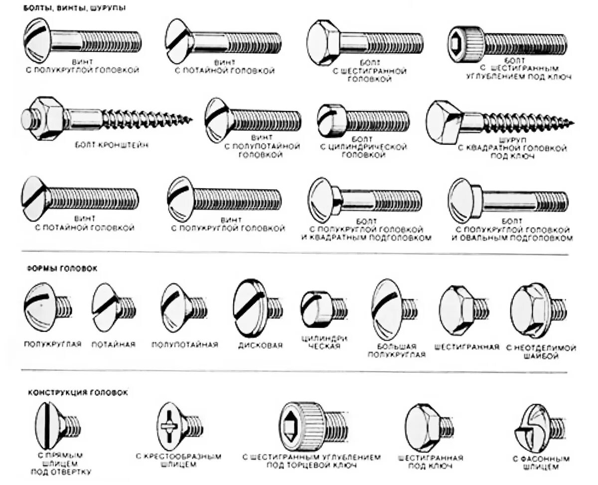 Классификация болтов и винтов. Болт винт саморез отличия. Винт болт шуруп саморез отличие. Классификация шуруп винт болт. Каких видов бывают размеры