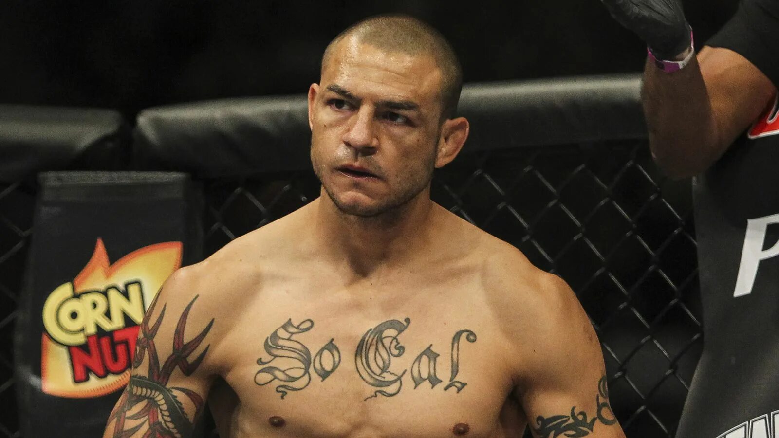 Каб свонсон. Cub swanson. Каб свонсон фото. Cub swanson. Каб свонсон юфс.