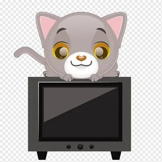 Cat tv