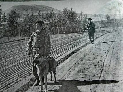 Воспоминания пограничника