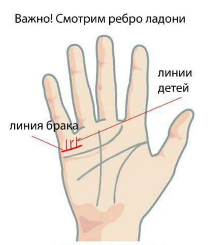 Как определить линии рук. Хиромантия линия количества детей. коррекционная хиромантия линия брака. хиромантия линии детей на руке. как по линиям руки определить сколько будет детей.