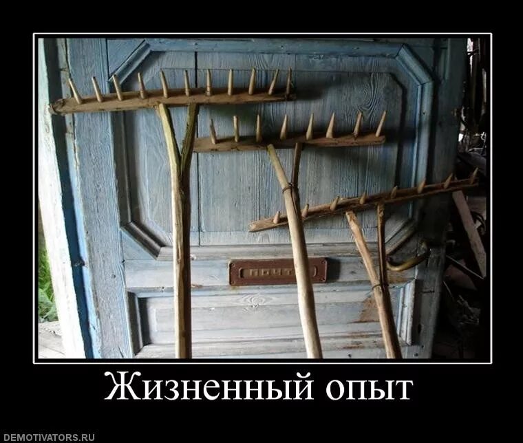 Ценный жизненный опыт. Ценный жизненный опыт. Опыт смешные картинки. Жизненный опыт. Собственный опыт.