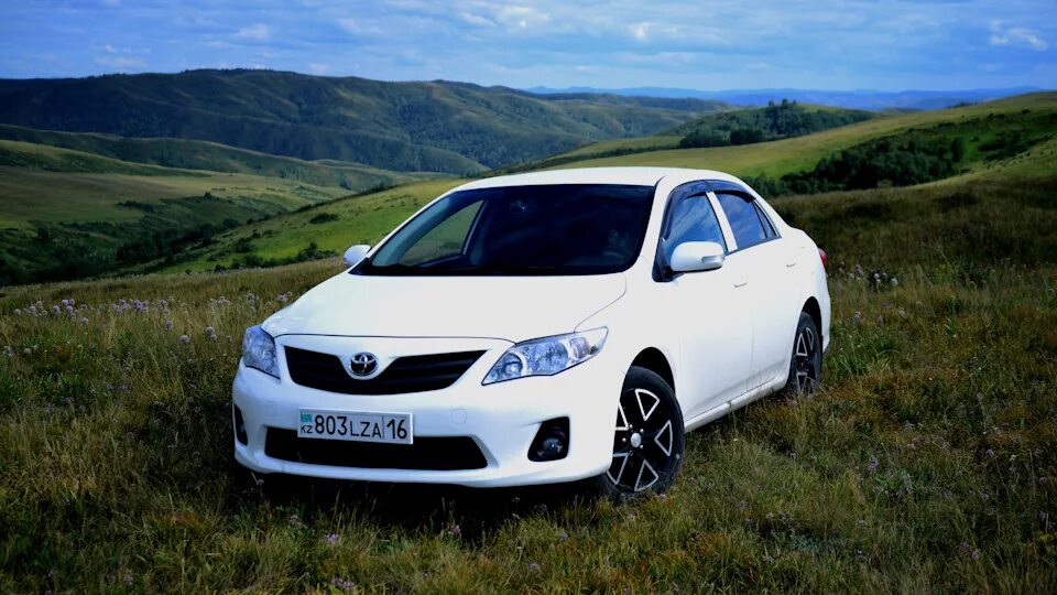 Тойота Королла белая. Белая Toyota Corolla 2011. Тойота Королла 2012 белая. Тойота Королла 2011 года белая.