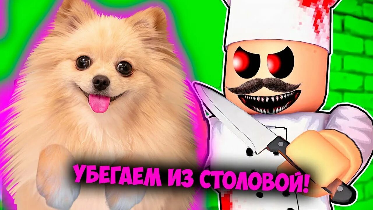 Собачку пушистый геймер. Пушистый геймер. пушистый геймер элис. пушистый геймер собачка элис роблокс. канал пушистый геймер.