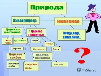 Запустить кластер
