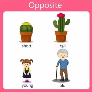 Tall opposite word