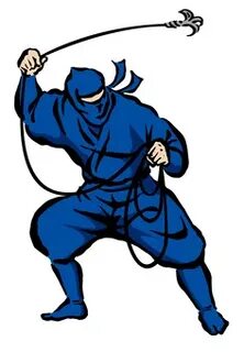 Illustrated ninja handbo